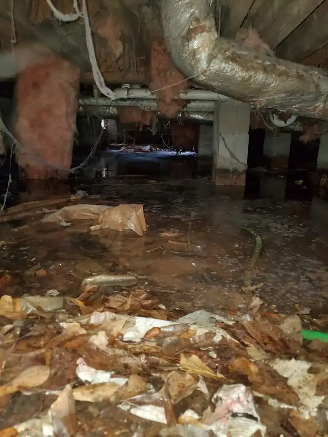 Crawl space flood assessment for Leak Detection & Repair in Camarillo