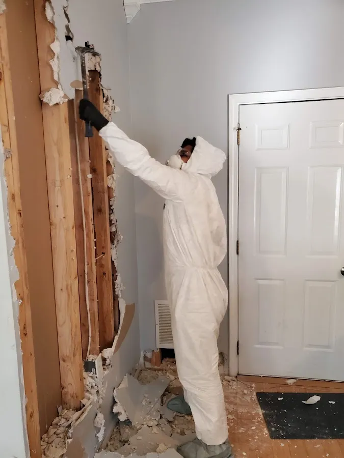 Flood Damage Cleanup in Camarillo, CA